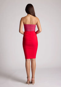 Back image of a model wearing a pink and red dress with a cut out in the bardot neckline. The dress featured is the Hannah pink and red midi dress