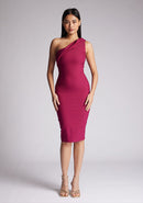 Front image of model wearing a berry midi dress with an alluring one-sleeve design and a captivating asymmetric cut, and a discreet back zip. The design featured is the Vesper Xyla Berry One Shoulder Midi Dress